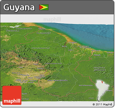 Satellite Panoramic Map of Guyana