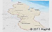 Shaded Relief Panoramic Map of Guyana, lighten, desaturated, land only