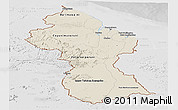 Shaded Relief Panoramic Map of Guyana, lighten, desaturated