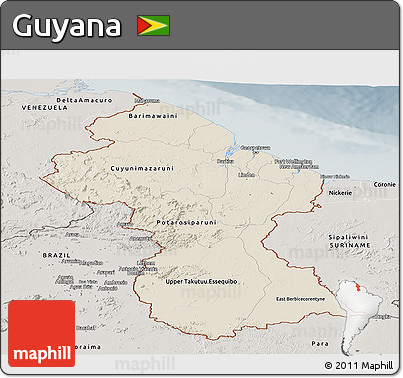 Shaded Relief Panoramic Map of Guyana, semi-desaturated