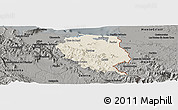 Shaded Relief Panoramic Map of Nord-Est, darken, semi-desaturated