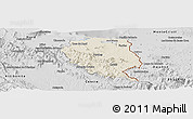Shaded Relief Panoramic Map of Nord-Est, desaturated