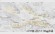Shaded Relief Map of Ouest, lighten, desaturated