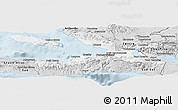 Silver Style Panoramic Map of Ouest