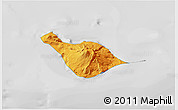 Political 3D Map of Heard Island and McDonald Islands, lighten, desaturated