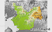 Physical 3D Map of Choluteca, desaturated