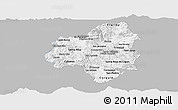 Gray Panoramic Map of Copan, single color outside