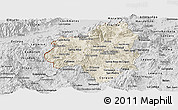 Shaded Relief Panoramic Map of Copan, desaturated