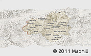 Shaded Relief Panoramic Map of Copan, lighten