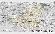 Shaded Relief Panoramic Map of Lempira, desaturated