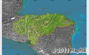 Satellite Map of Honduras, desaturated, land only