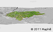 Satellite Panoramic Map of Honduras, lighten, desaturated