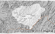 Gray 3D Map of Danli