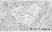 Silver Style 3D Map of Danli