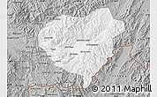 Gray Map of Danli