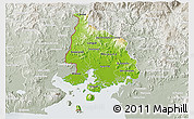 Physical 3D Map of Valle, lighten, semi-desaturated