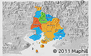 Political 3D Map of Valle, lighten, desaturated