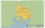 Savanna Style 3D Map of Valle, single color outside