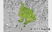 Satellite Map of Valle, lighten, desaturated