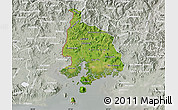 Satellite Map of Valle, lighten, semi-desaturated