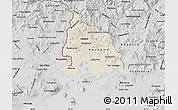 Shaded Relief Map of Valle, desaturated