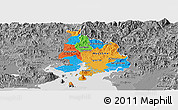 Political Panoramic Map of Valle, desaturated