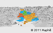 Political Panoramic Map of Valle, lighten, desaturated