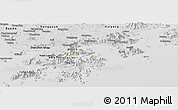 Shaded Relief Panoramic Map of Tai Po, desaturated