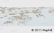 Shaded Relief Panoramic Map of Tai Po, semi-desaturated