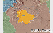 Political Map of Budapest, semi-desaturated