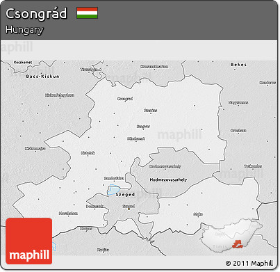 Silver Style 3D Map of Csongrád