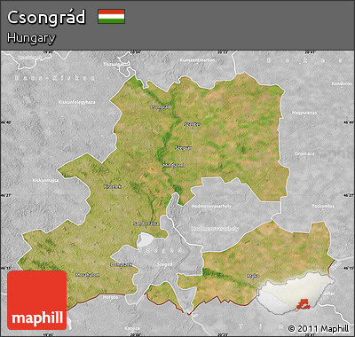 Satellite Map of Csongrád, lighten, desaturated