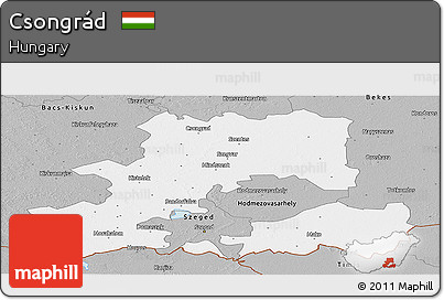 Gray Panoramic Map of Csongrád
