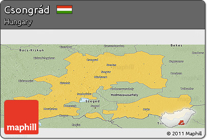 Savanna Style Panoramic Map of Csongrád