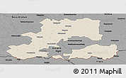 Shaded Relief Panoramic Map of Csongrád, darken, desaturated