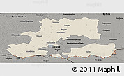 Shaded Relief Panoramic Map of Csongrád, darken, semi-desaturated