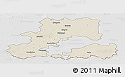 Shaded Relief Panoramic Map of Csongrád, lighten, desaturated
