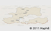 Shaded Relief Panoramic Map of Csongrád, lighten