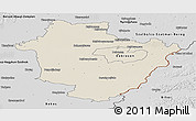 Shaded Relief Panoramic Map of Hajdú-Bihar, desaturated