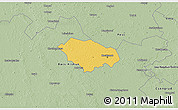 Savanna Style 3D Map of Kecskemét