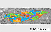 Political Panoramic Map of Hungary, desaturated