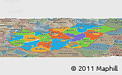 Political Panoramic Map of Hungary, semi-desaturated