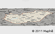 Shaded Relief Panoramic Map of Hungary, darken, semi-desaturated