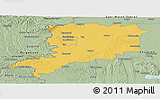 Savanna Style Panoramic Map of Vas