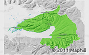 Political 3D Map of Dala, lighten, desaturated