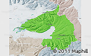 Political Map of Dala, lighten, semi-desaturated