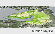 Physical Panoramic Map of Dala, darken, semi-desaturated
