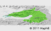 Political Panoramic Map of Dala, lighten, desaturated