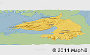 Savanna Style Panoramic Map of Dala, single color outside