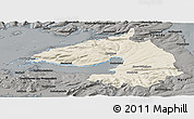 Shaded Relief Panoramic Map of Dala, darken, semi-desaturated